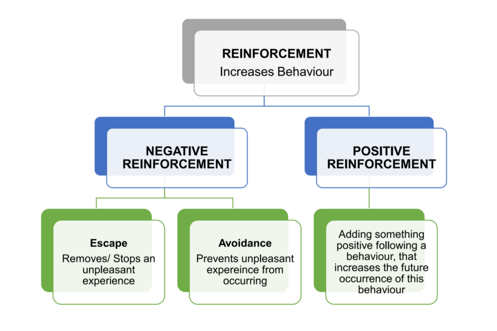 What Is Positive Reinforcement?