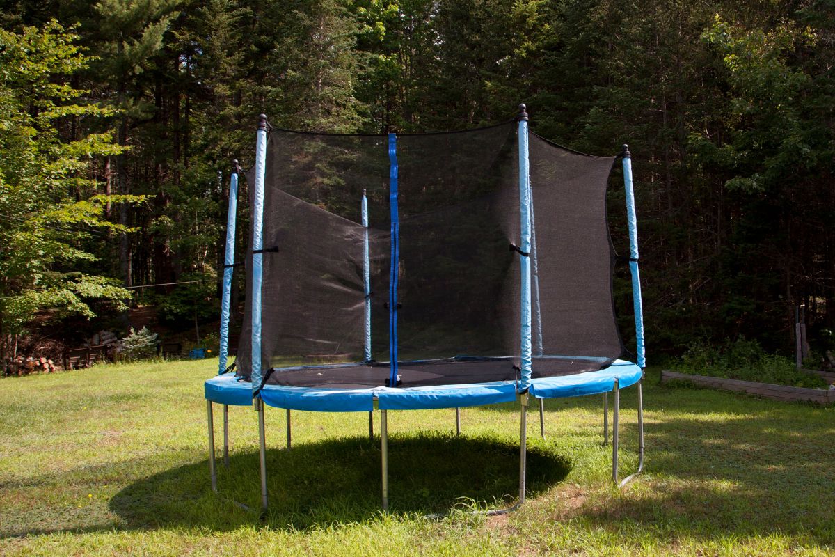 What Is a Trampoline’s Maximum Weight Capacity